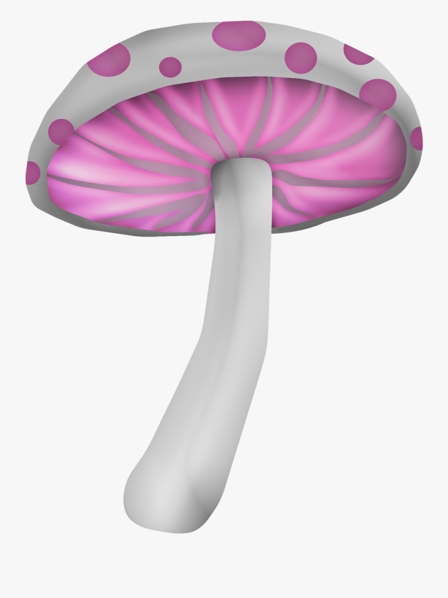 Inflatable, Transparent Clipart