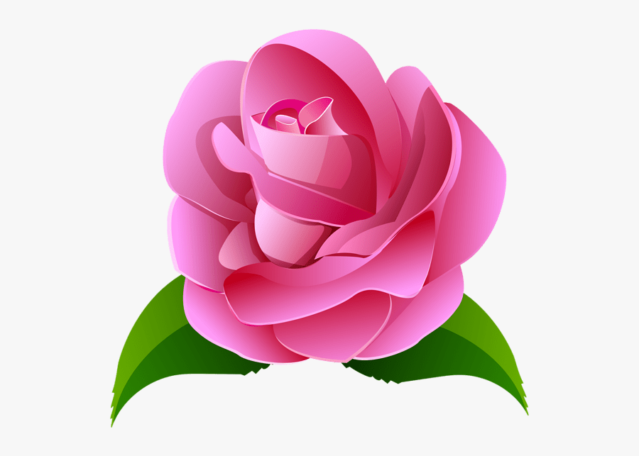 Moana Pua - Nil Rosa, Transparent Clipart