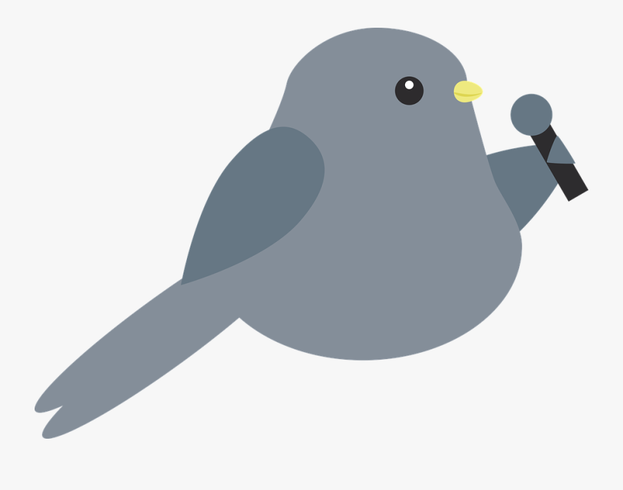 Bird Singing Transparent Background, Transparent Clipart