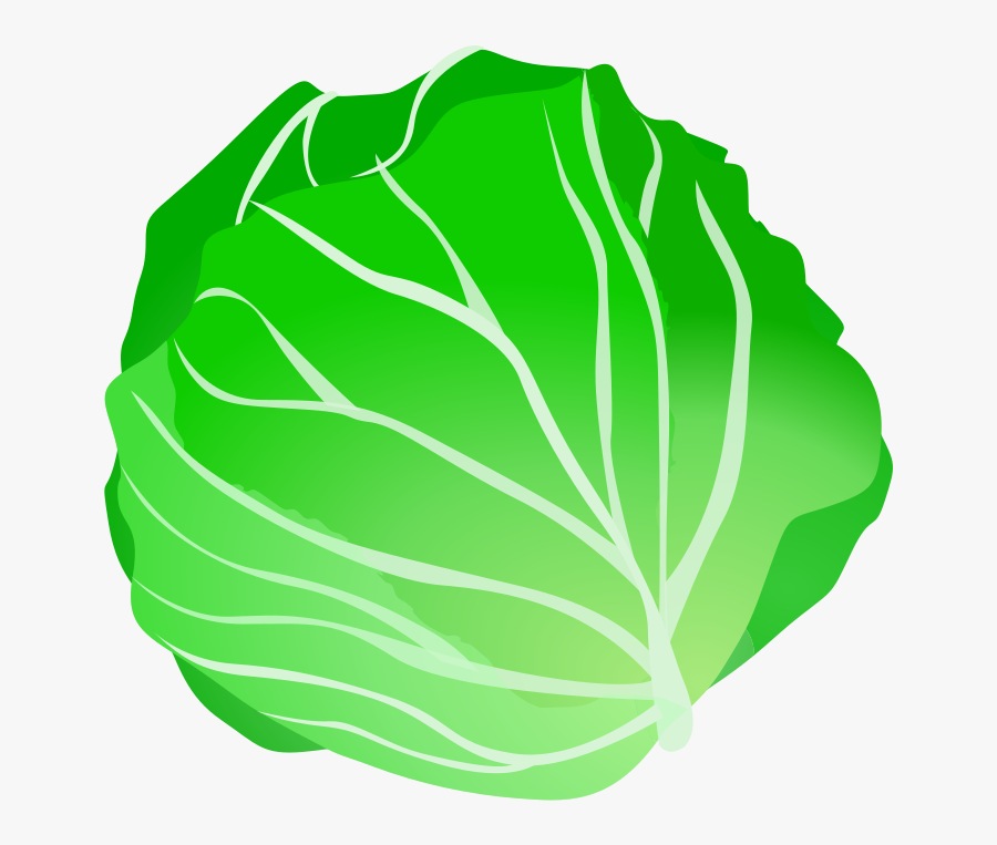 Clip Art Leaf Vegetable Cabbage Iceberg - Vegetables Clipart, Transparent Clipart