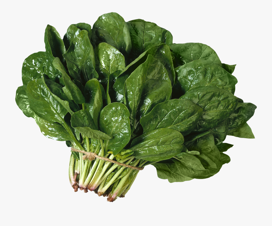 Spinach Png, Transparent Clipart