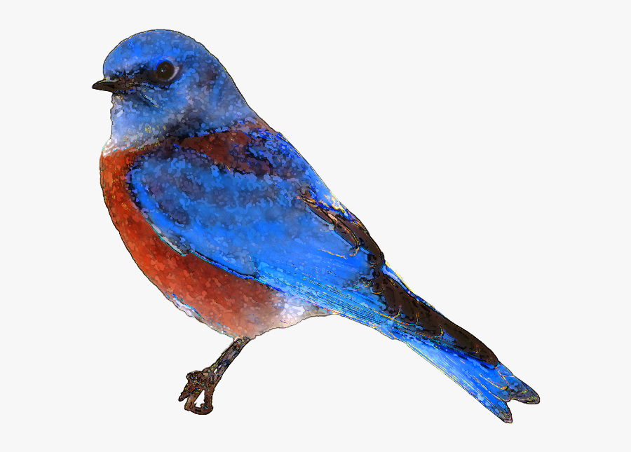 Free Bird Clip Art - Clip Art, Transparent Clipart