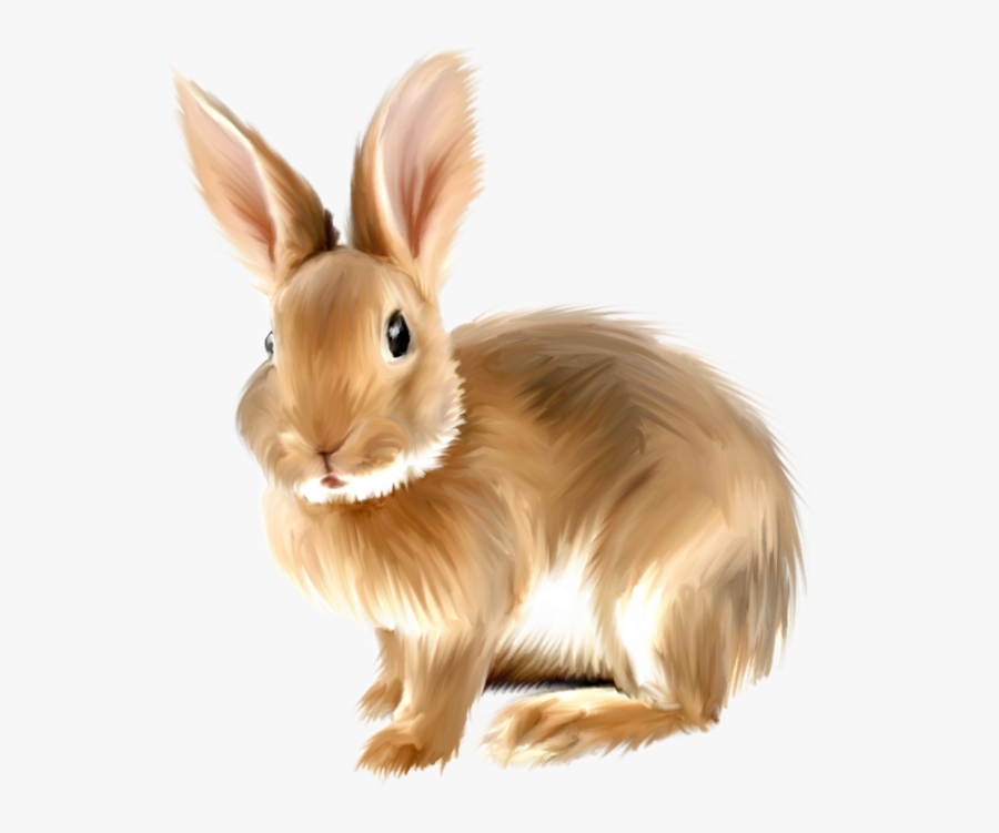 Rabbit Clipart Png, Transparent Clipart