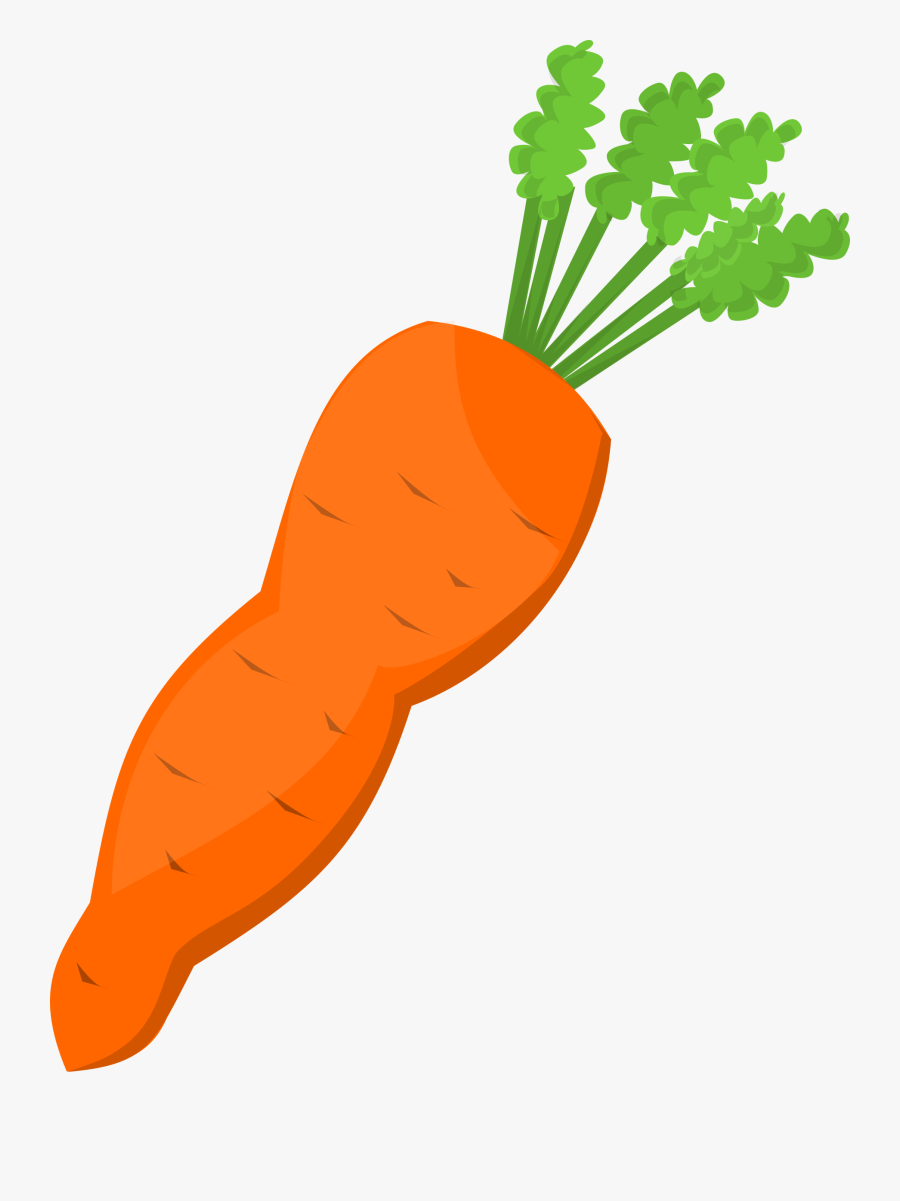 Plant Stem,food,fish - Carrot Clipart, Transparent Clipart