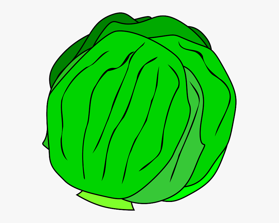 Lettuce Clip Art, Transparent Clipart