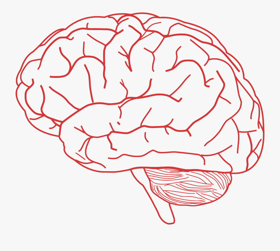 Brain Clip Art, Transparent Clipart