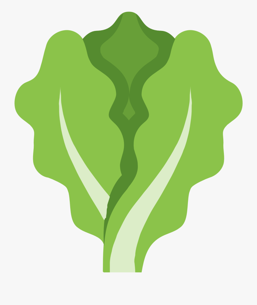 Lettuce Clipart Outline - Lettuce Icon Png, Transparent Clipart