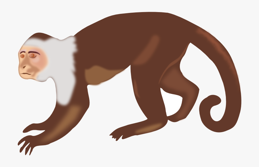 Monkey Clipart Animal Clip Art Photo Transparent Png - Capuchin Monkey Clip Art, Transparent Clipart