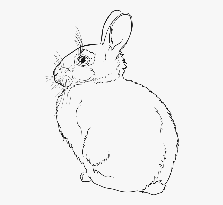 Transparent Easter Bunny Clip Art - Rabbit Line Art, Transparent Clipart