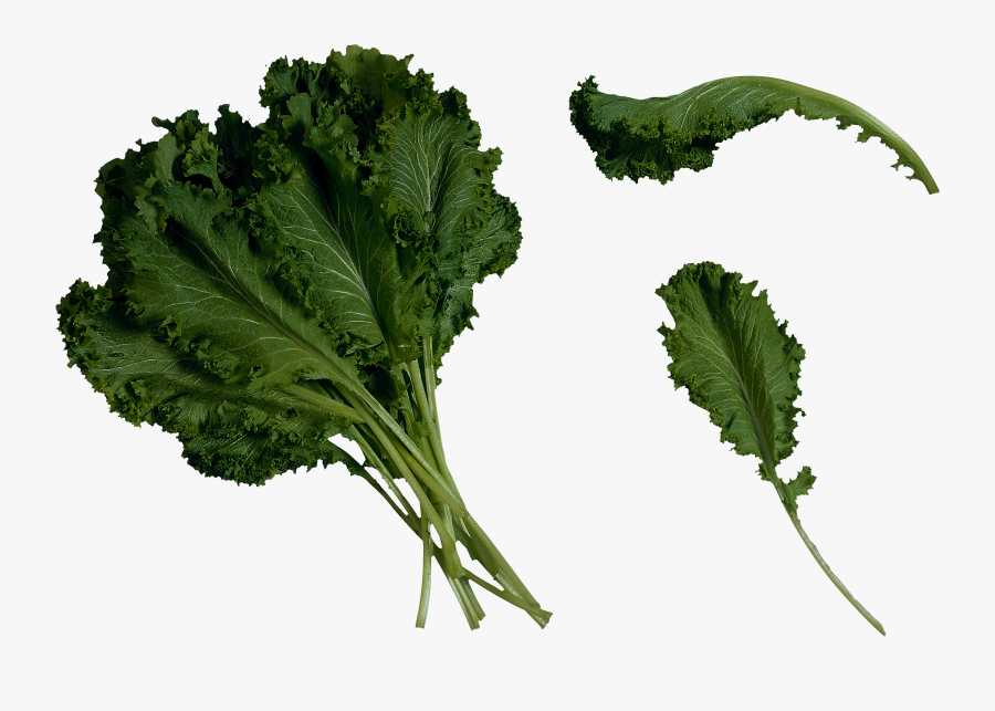 Salad Png Image - Mustard Greens, Transparent Clipart