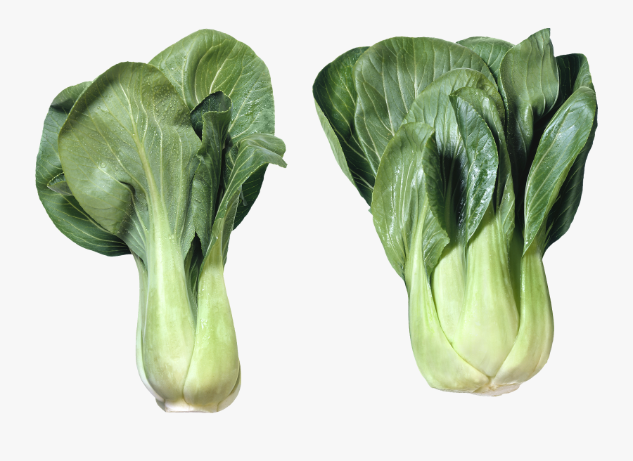 Cabbage Varieties, Transparent Clipart