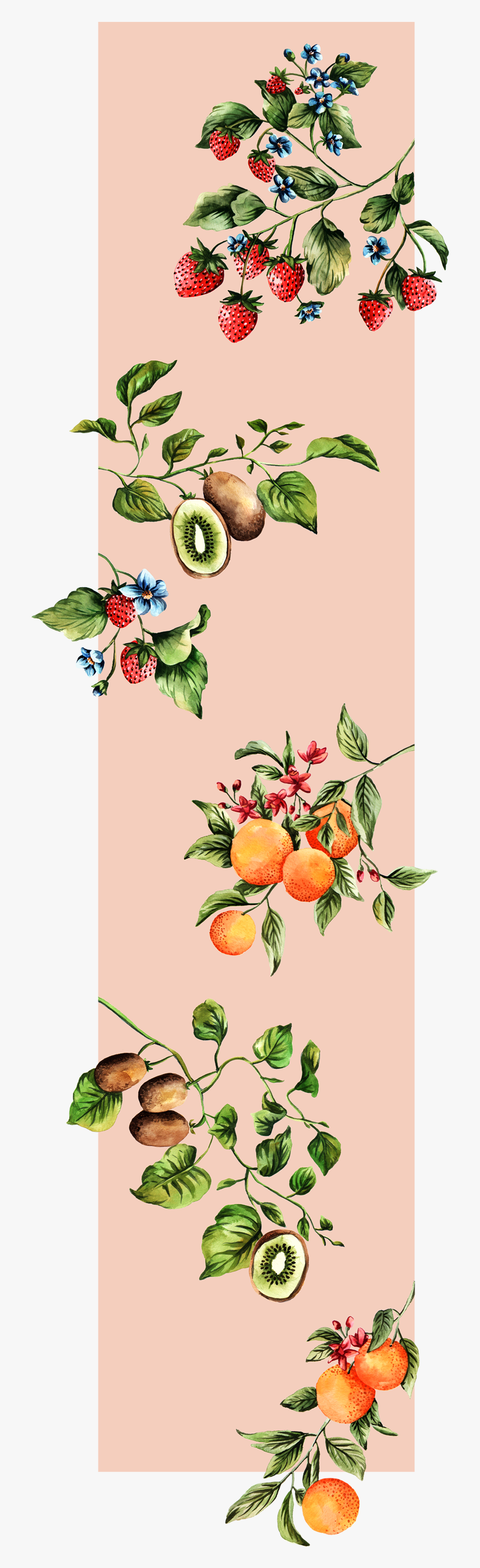 Fruit Salad Paulahasenack - Tangelo, Transparent Clipart