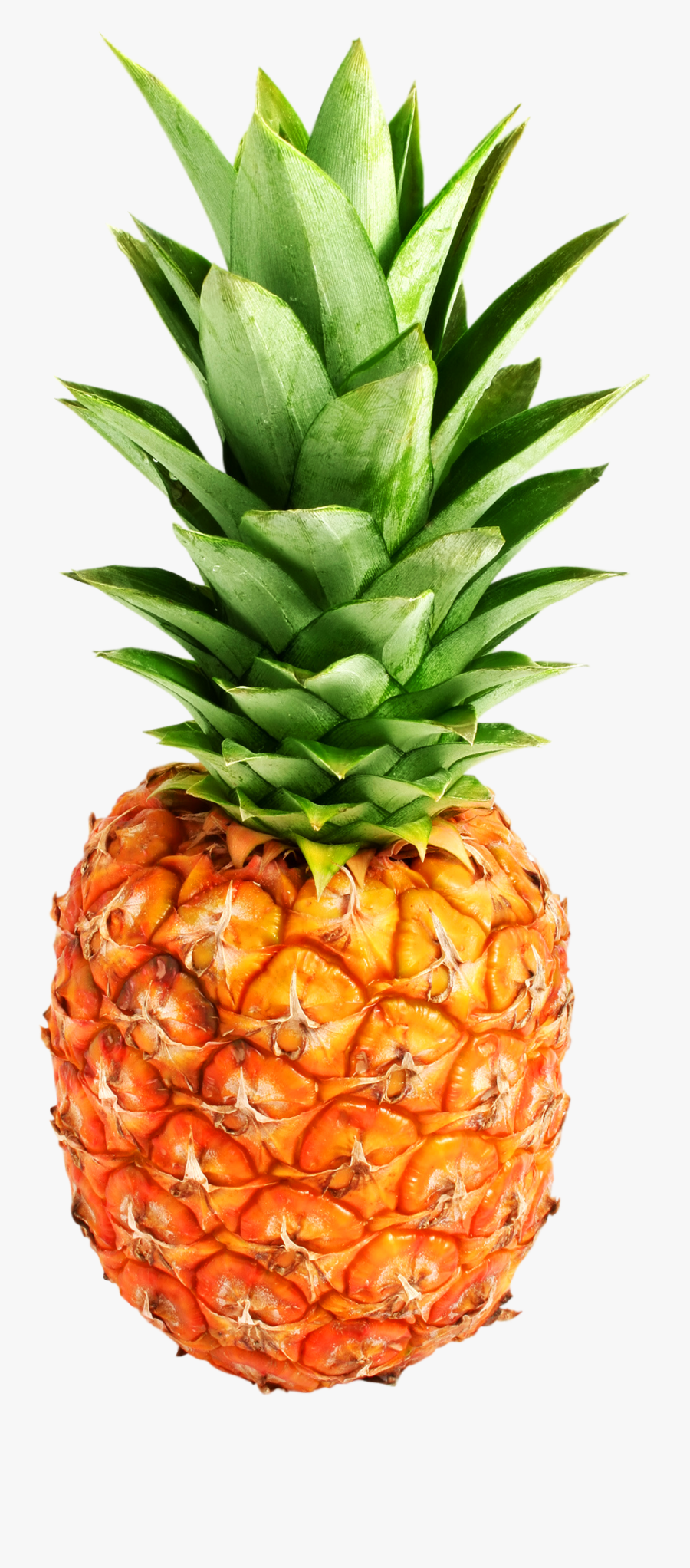 Download Pineapple Png Clipart - Pineapple Png, Transparent Clipart