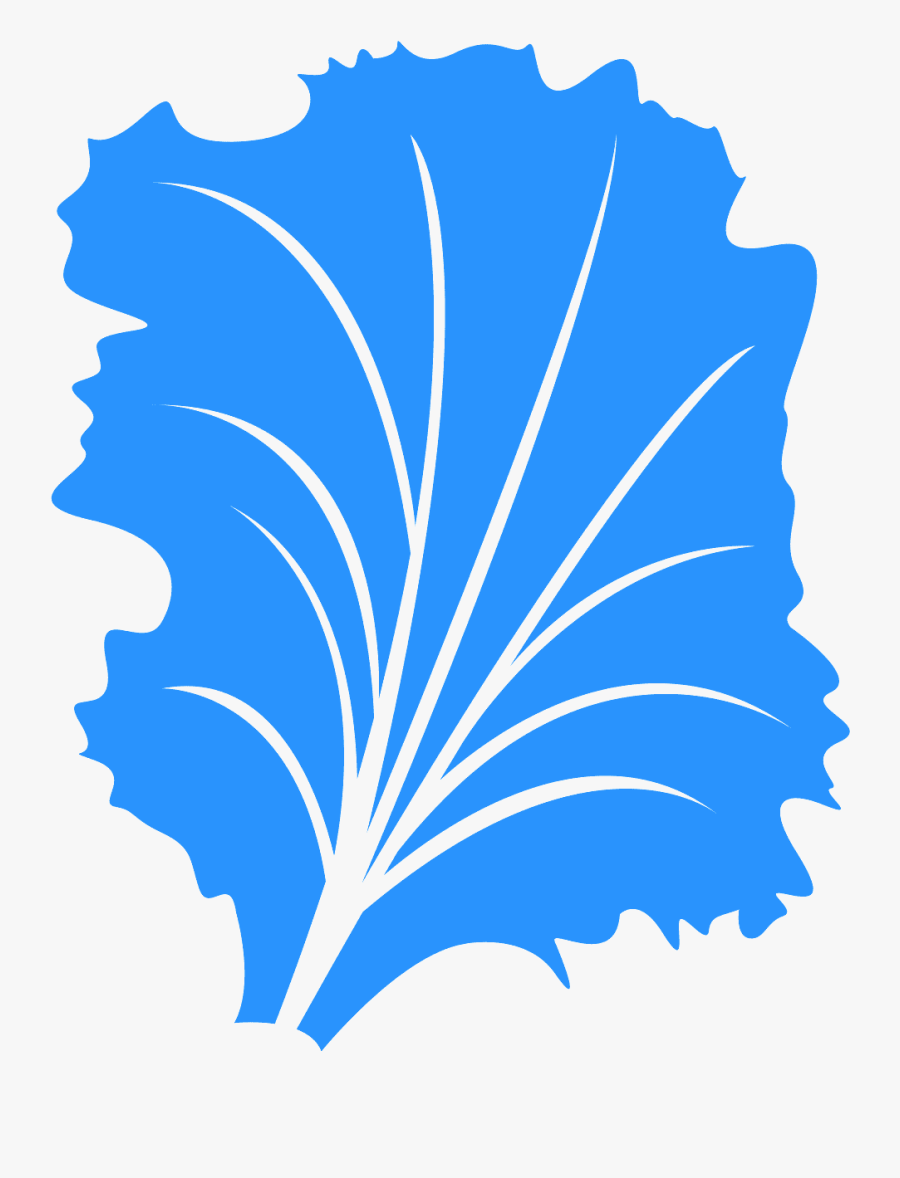 Hoja De Lechuga Dibujo, Transparent Clipart
