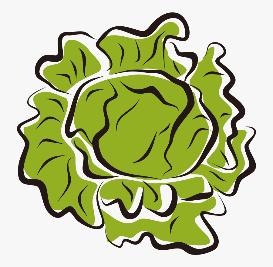 Iceberg Salad Clip Art Royalty Free - Lettuce Clip Art, Transparent Clipart