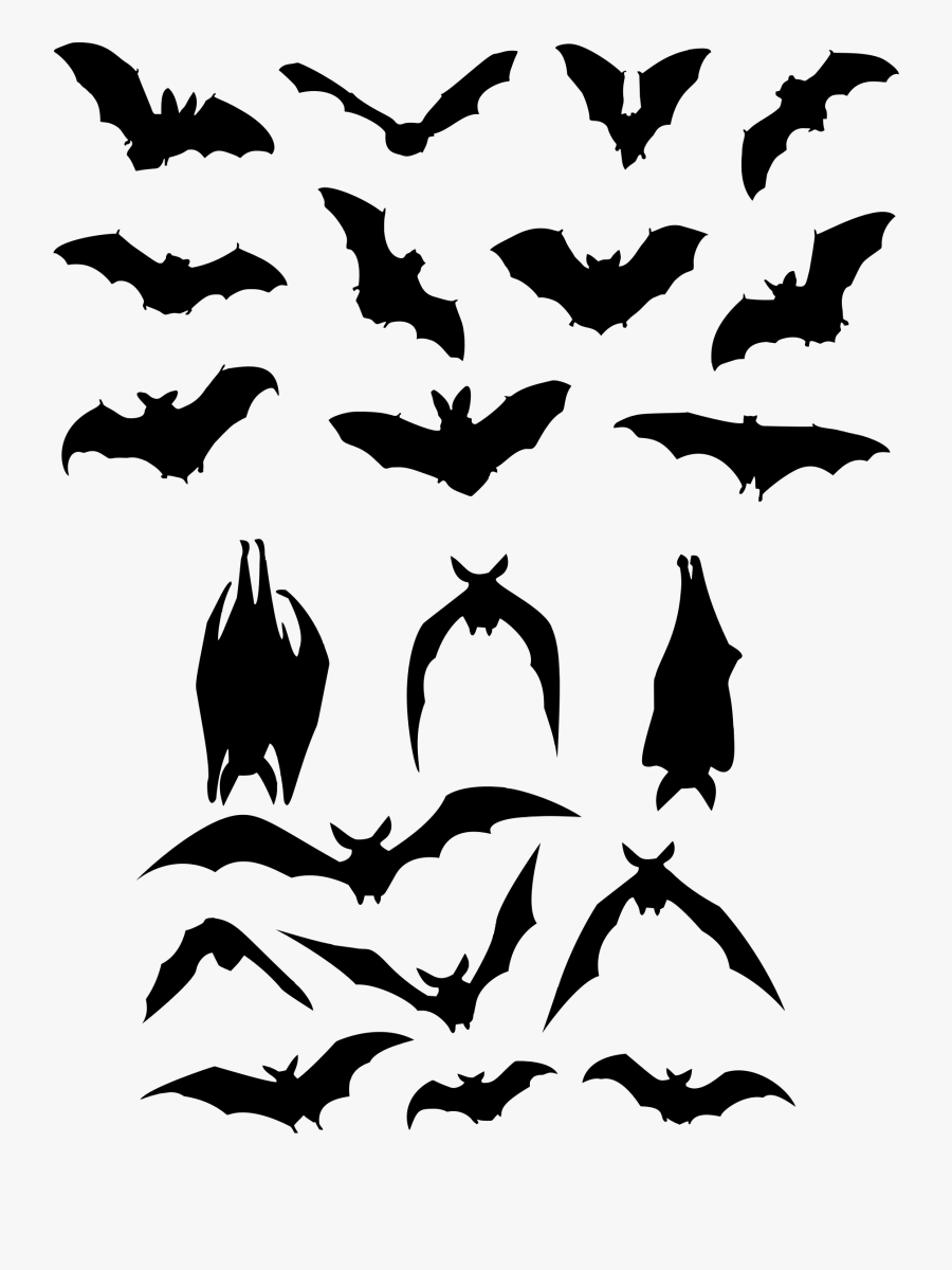 Bat Flight Silhouette Logo - Bat Silhouette, Transparent Clipart