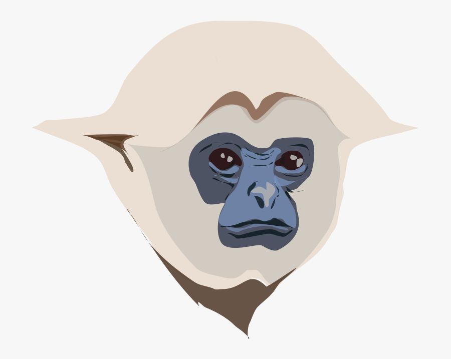 Free To Use &, Public Domain Monkey Clip Art, Transparent Clipart