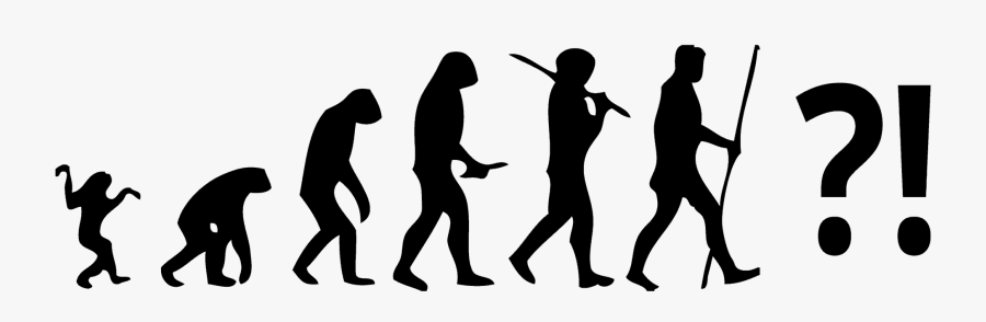 Hd Monkey To Human Clipart - Évolution De L Homme, Transparent Clipart