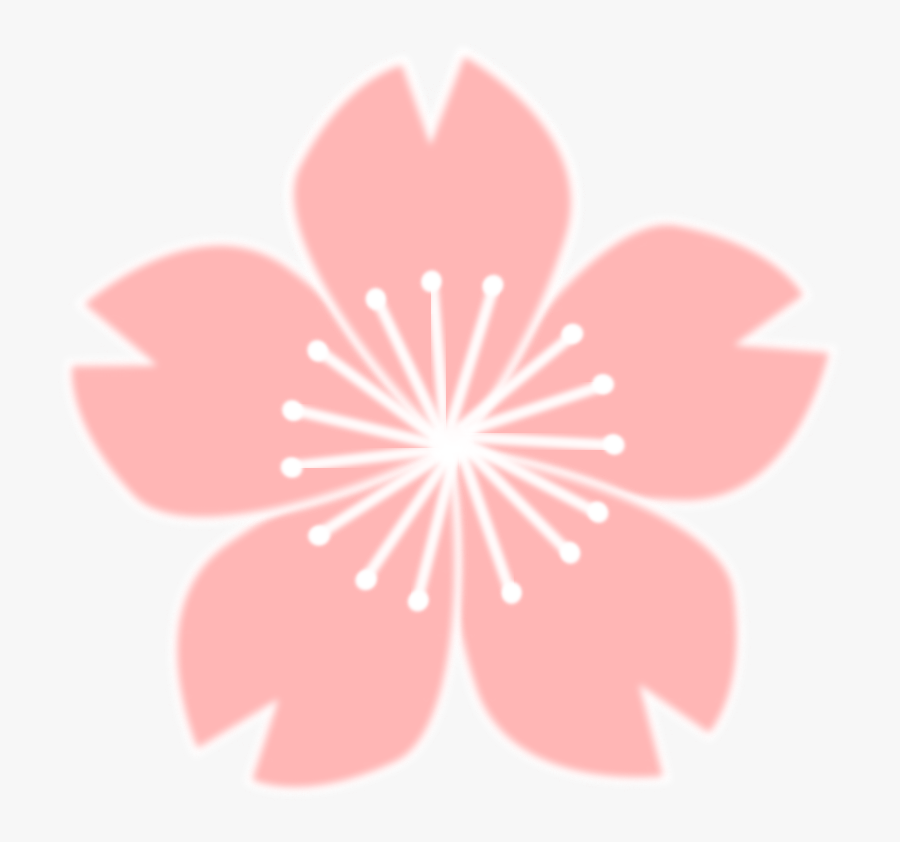 Cherry Blossom Sakura Png, Transparent Clipart