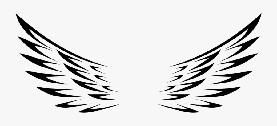 Vector Angel Wings Png, Transparent Clipart