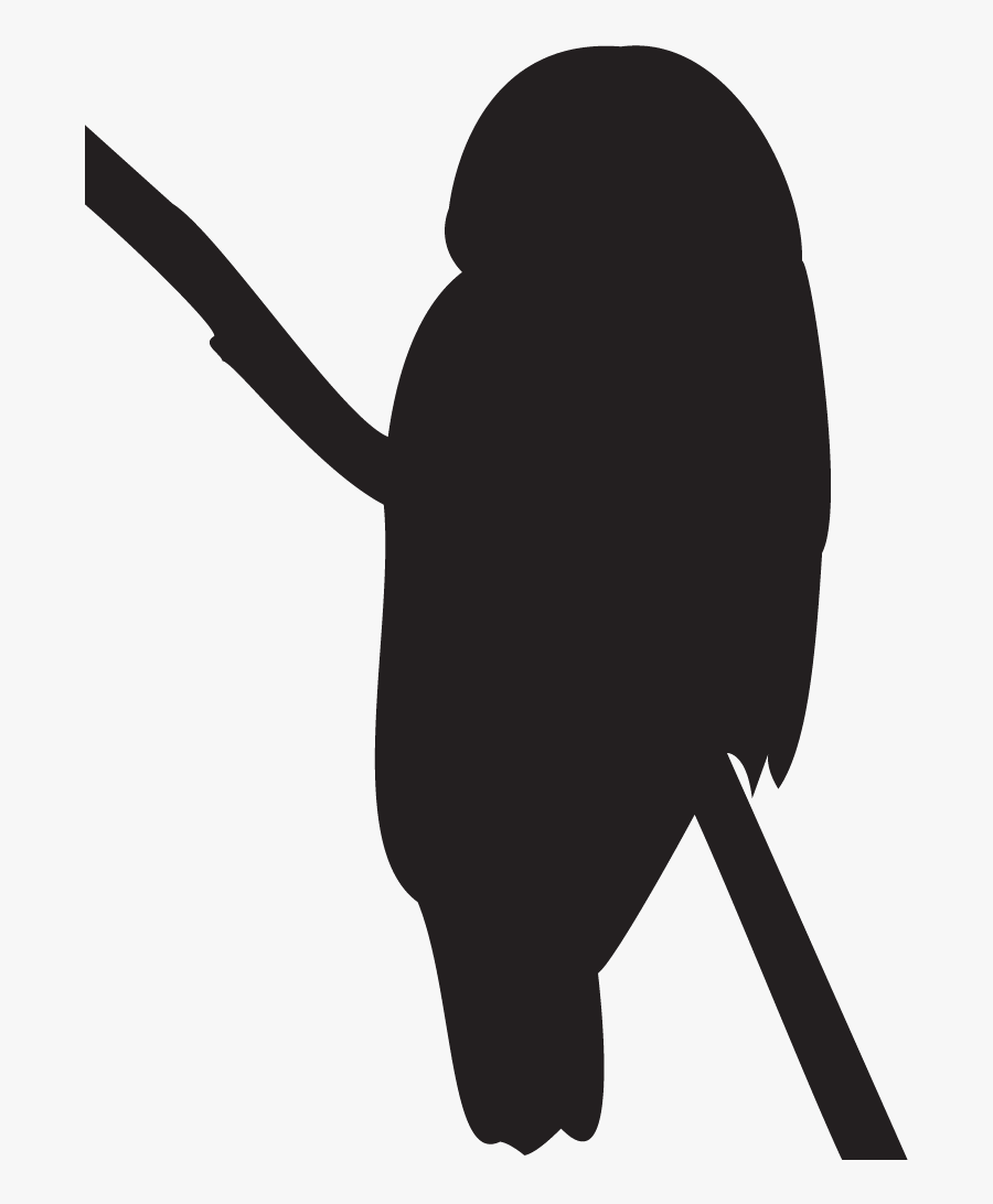 Baseball Bat,silhouette,clip Art,black And White - Northern Spotted Owl Silhouette, Transparent Clipart