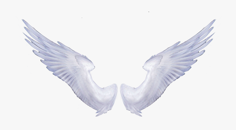 Angel Wings Portable Network Graphics Clip Art Image - Transparent Background Angel Wings Png, Transparent Clipart