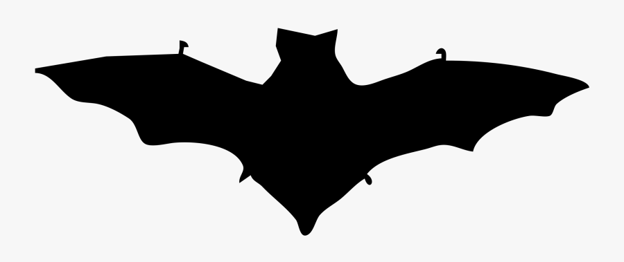Bat Contour, Transparent Clipart
