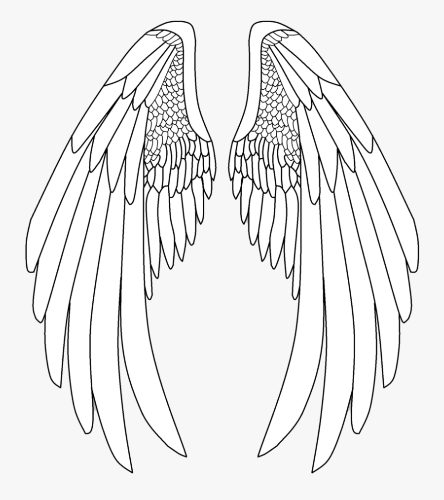 Angel Wings Png - Drawing Pencil Angel Wings, Transparent Clipart