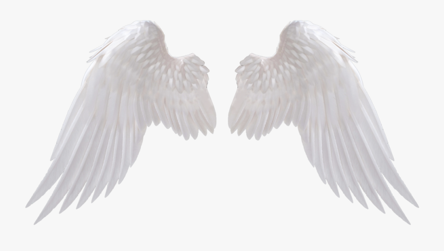 Angel Wings Png Download Image 1 Vector, Clipart, Psd - White Angel Wings Png, Transparent Clipart