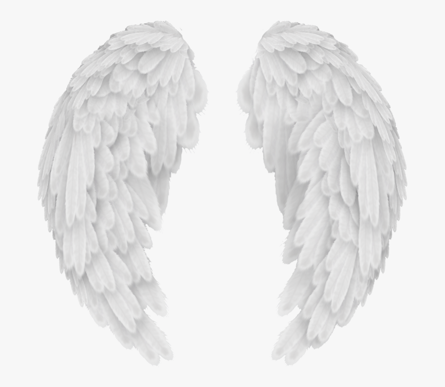 Angel Wings Png - White Angel Wings Png, Transparent Clipart