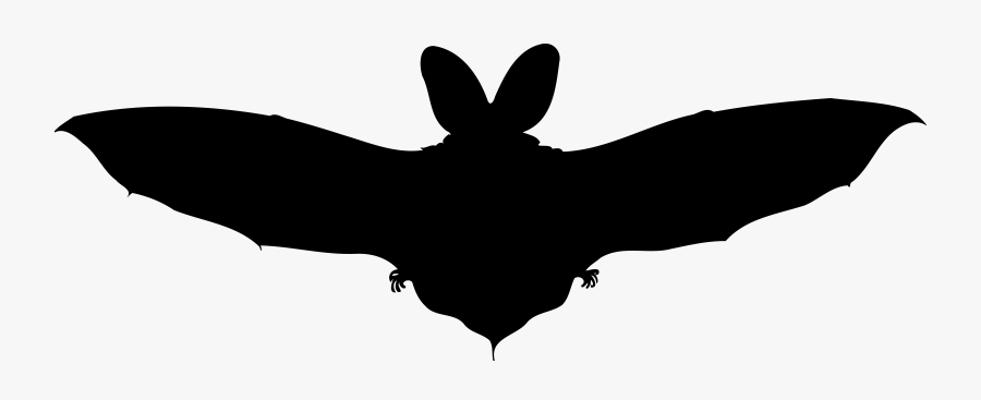 Brown Long-eared Bat Silhouette - Bat, Transparent Clipart