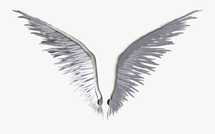 Wing Angel Clip Art - Transparent Background 3d Angel Wings, Transparent Clipart