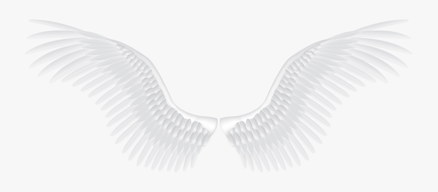 Transparent Angel Wings Clipart - White Angel Wings Png, Transparent Clipart