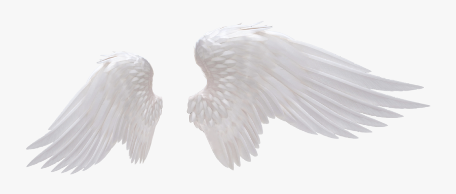 Angel Wings Png - Transparent Background Angel Wings Png, Transparent Clipart