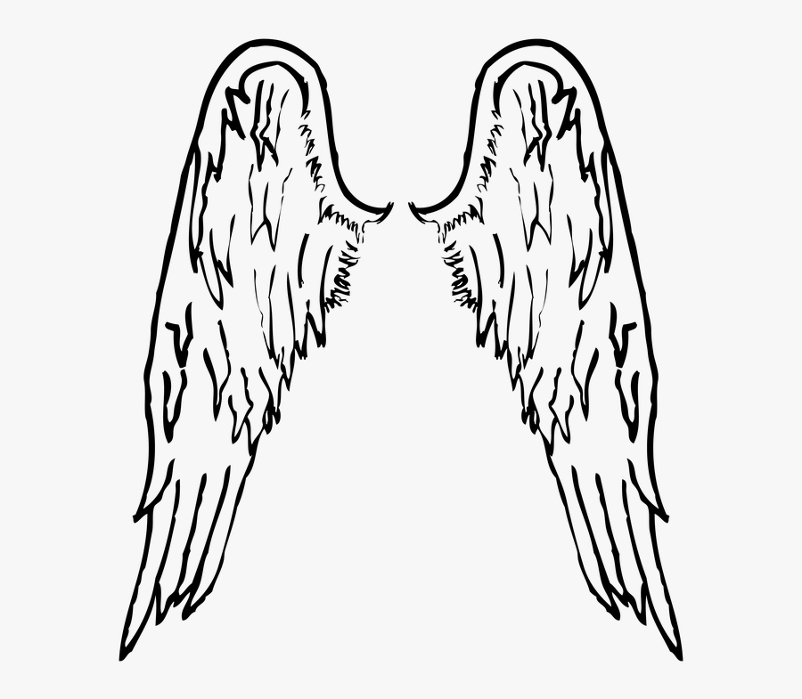 Angels Wings Drawing At Getdrawings - Angel Wings Drawing Png, Transparent Clipart