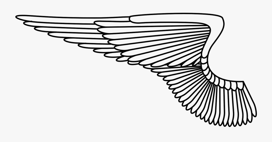 Eagle Wing Clip Art, Transparent Clipart