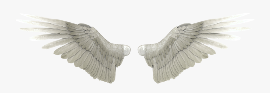 Angel Wings Png High Quality Image 1 Vector, Clipart, - Realistic Angel Wings Png, Transparent Clipart