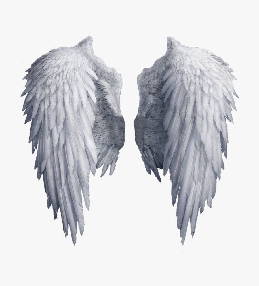 Angel Wing Clip Art - Transparent Background Wings Png, Transparent Clipart