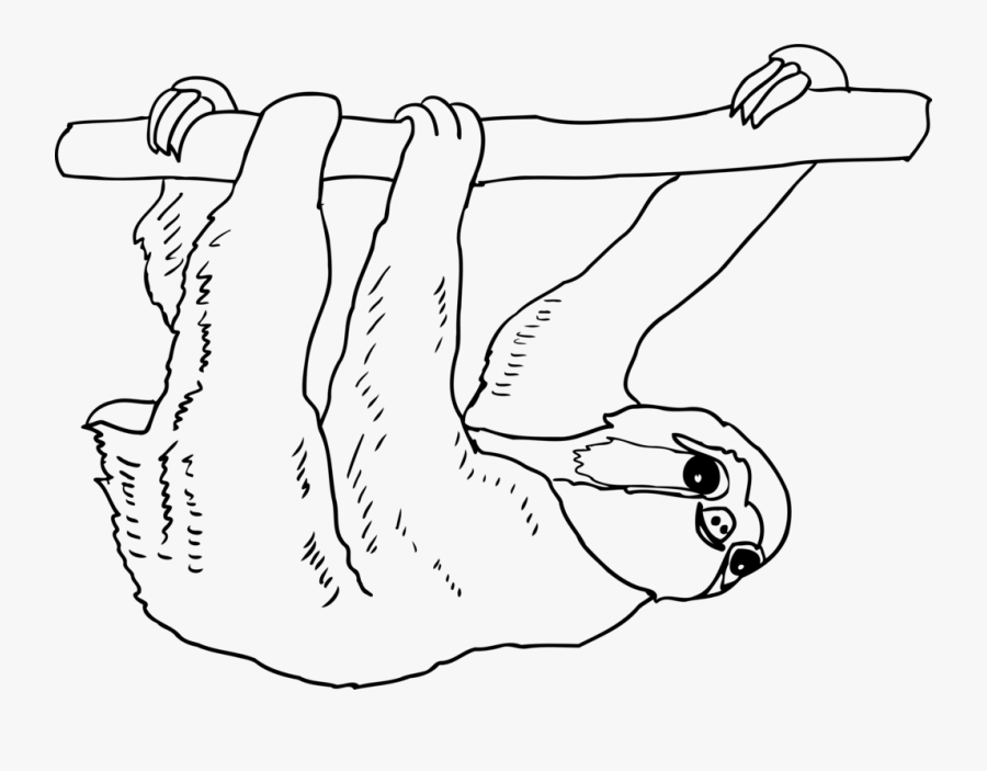 Art,carnivoran,figure Drawing - Printable Sloth Clipart Black And White, Transparent Clipart