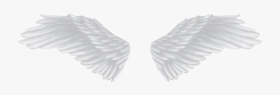 Angel Wings Png - White Angel Wings Png, Transparent Clipart