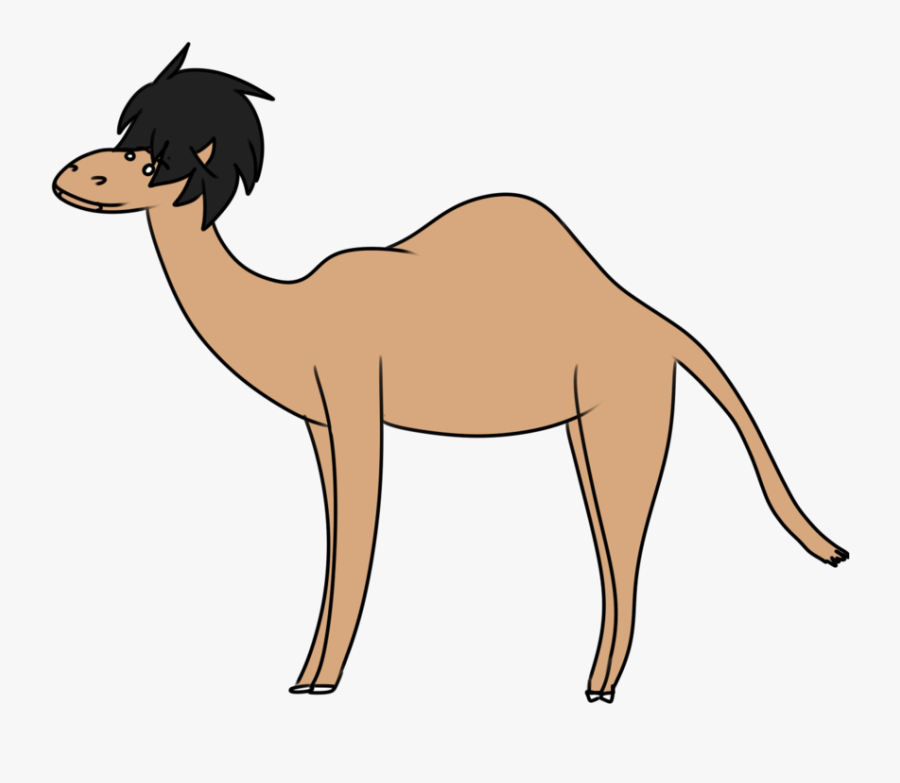 Tie Clipart Side View - Arabian Camel, Transparent Clipart