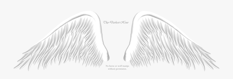 Angel Wings Clipart Elegant - Anime Angel Wings Png, Transparent Clipart