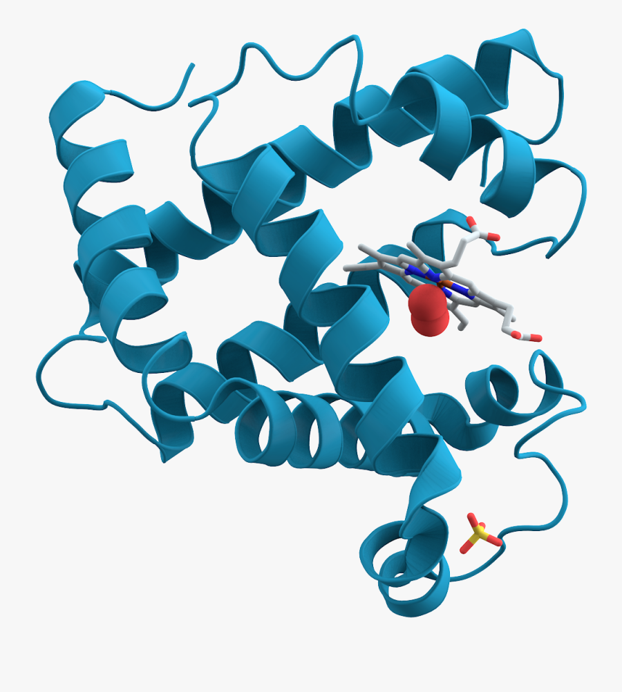 Chemistry Clipart Biomolecule - Elastin Protein, Transparent Clipart