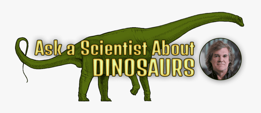 Transparent Anteater Clipart - Dinosaur Scientist, Transparent Clipart