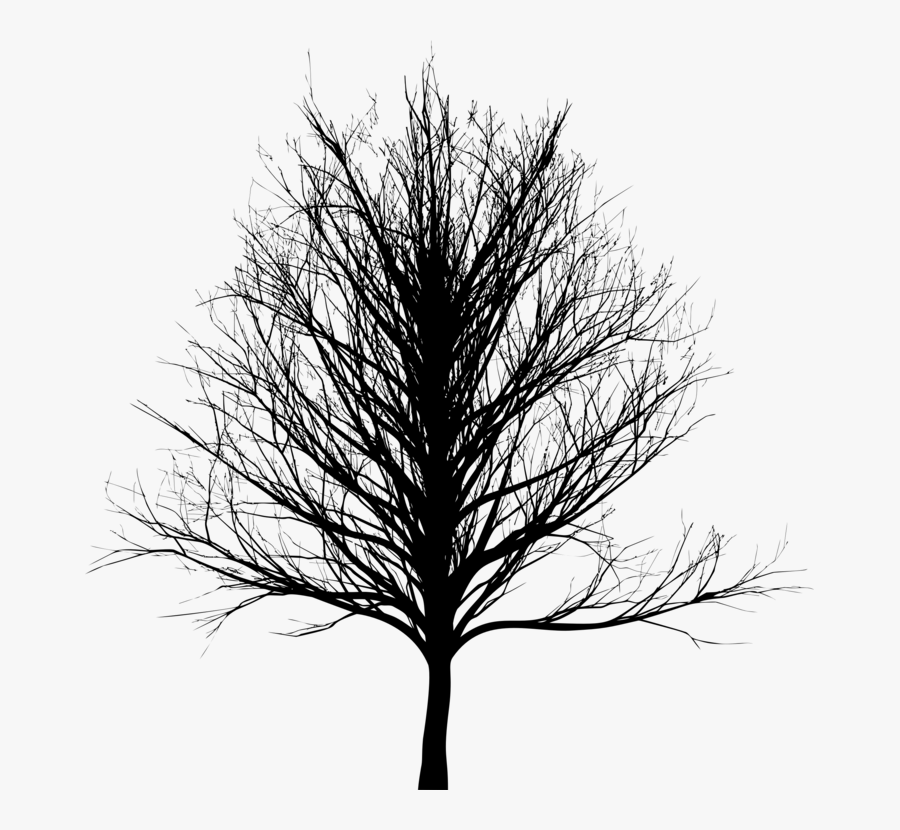 Plant,leaf,monochrome Photography - Transparent Dark Tree Png, Transparent Clipart