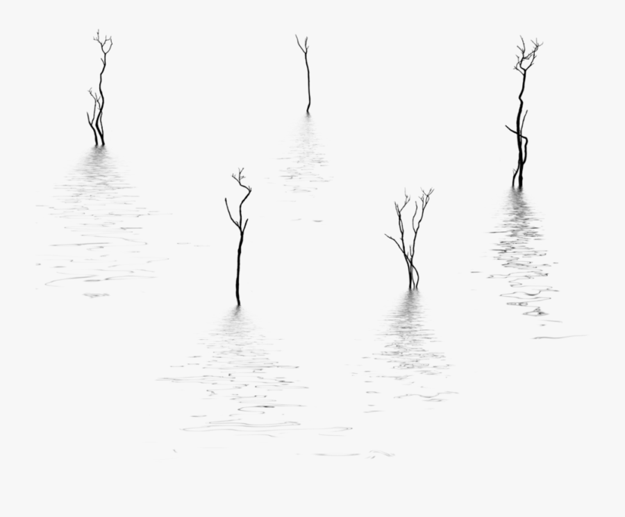 Clip Art Silhouettes With Hb By On - Reflection, Transparent Clipart