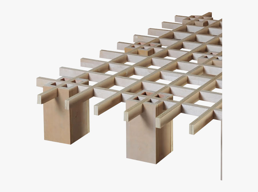 Quagga Design Tic Tac Toe King, Transparent Clipart