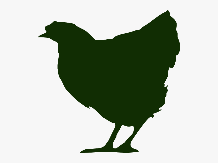 Chicken, Transparent Clipart