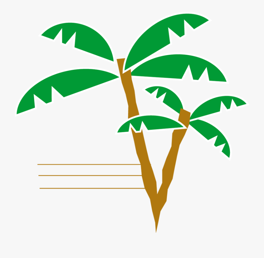 Coconut, Transparent Clipart