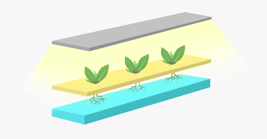 Controlled Environment Agriculture Vertical Art, Transparent Clipart